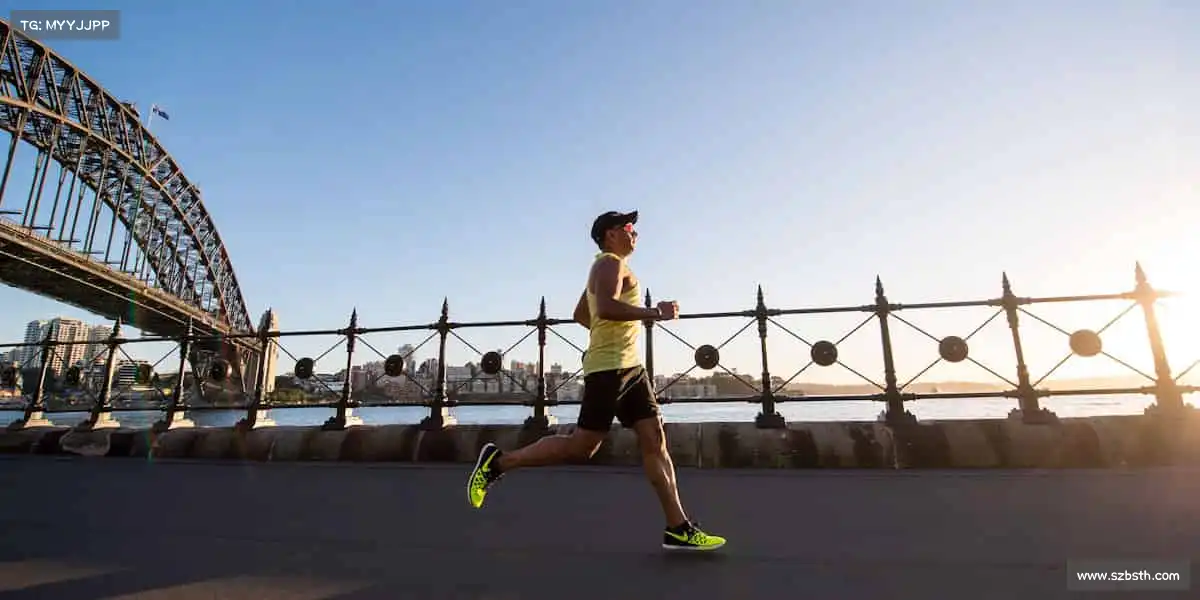 行业领先的理由